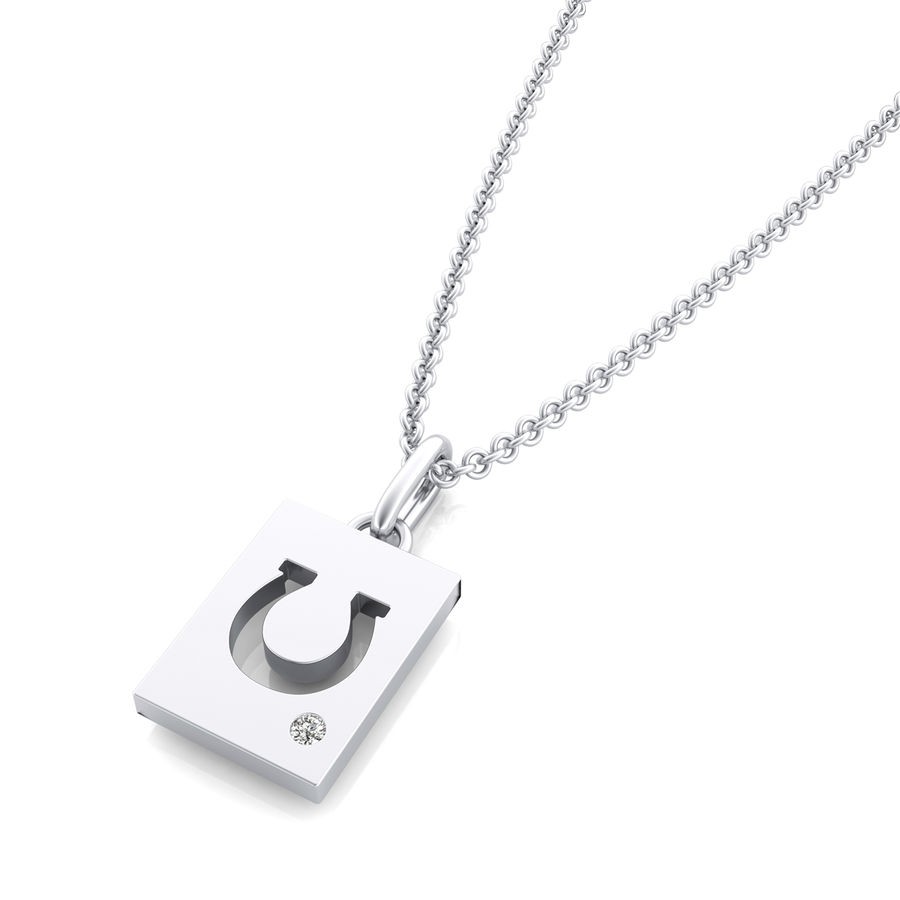 Horseshoe Pendant