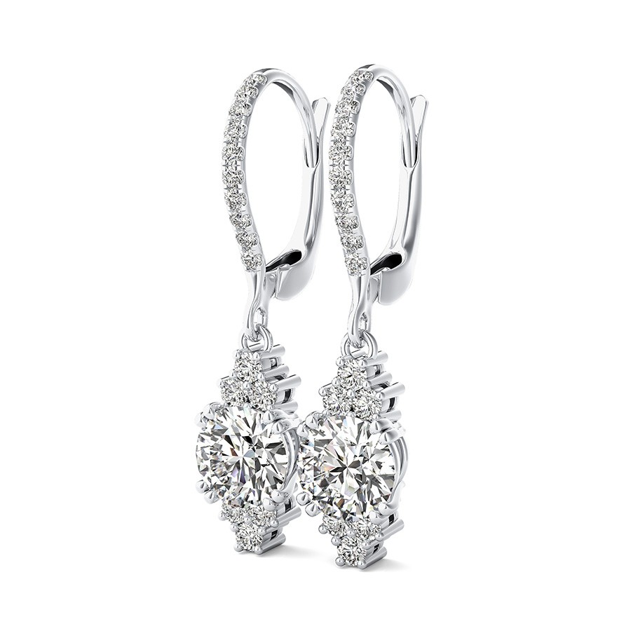 Accented Drop Earrings